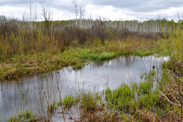 Parcelles de printemps — Photo