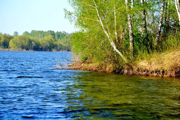 Natura altaya — Zdjęcie stockowe