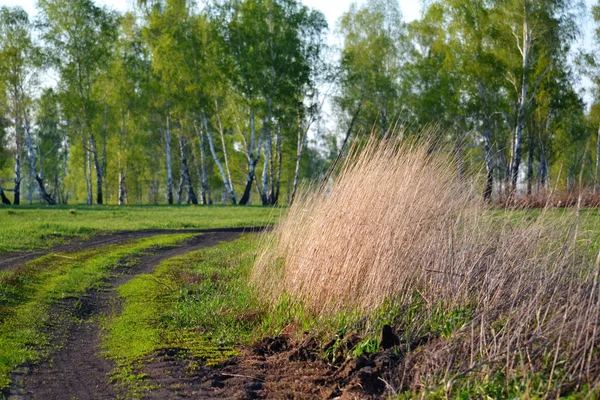 Frühlingsparzellen — Stockfoto