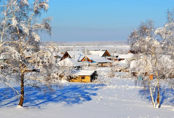 Landscapes Wood Steppes Altaya Please Eye Artist — Stock Photo, Image