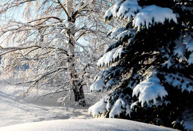           Manzaralar ahşap ve bozkırlar Altaya lütfen ressamın gözü