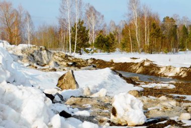           Manzaralar ahşap ve bozkırlar Altaya lütfen ressamın gözü