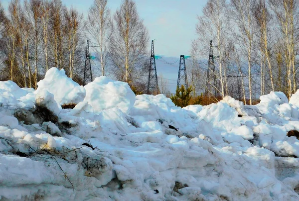 Landskap Trä Och Stäpper Altaya Vänligen Öga Konstnären — Stockfoto