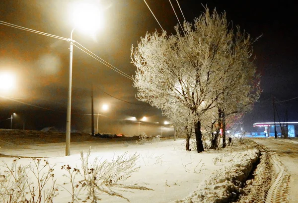 Krajina Dřevo Stepi Altaya Prosím Oko Umělce — Stock fotografie