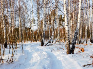           Manzaralar ahşap ve bozkırlar Altaya lütfen ressamın gözü