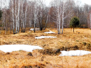           Manzaralar ahşap ve bozkırlar Altaya lütfen ressamın gözü