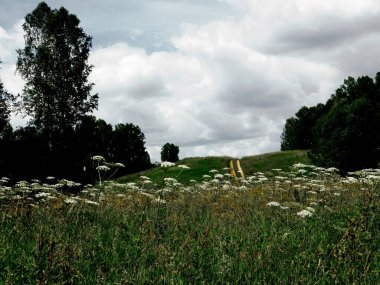           Manzaralar ahşap ve bozkırlar Altaya lütfen ressamın gözü