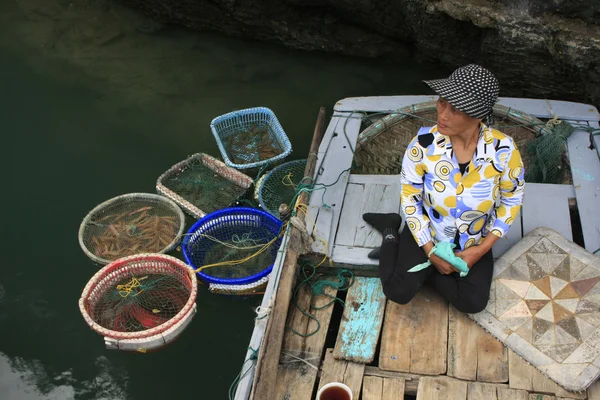 Hawker bir tekne, halong Körfezi, vietnam