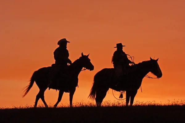 Cowboys a cavalo silhueta ao pôr-do-sol — Fotografia de Stock