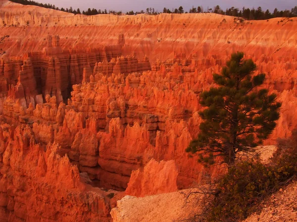 Bryce Canyon National Park at sunrise, view from Sunset point, Utah, USA — Stock Photo, Image