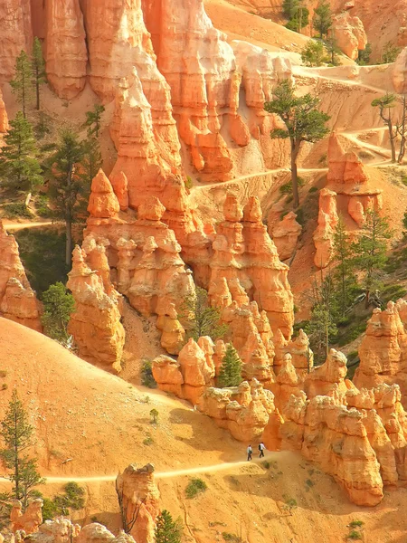 Amphitheater, view from Sunset poin, Bryce Canyon National Park, Utah, USA — Stock Photo, Image