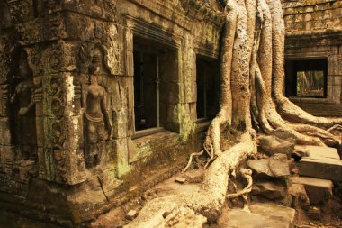 ta prohm Tapınağı, angkor alan, siem reap, Kamboçya