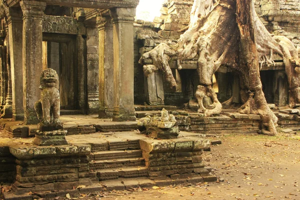 Preah Khan temple, Angkor környéke, Siem Reap, Kambodzsa — Stock Fotó