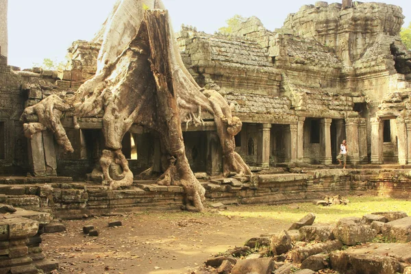 Tempio di Preah Khan, zona di Angkor, Siem Reap, Cambogia — Foto Stock