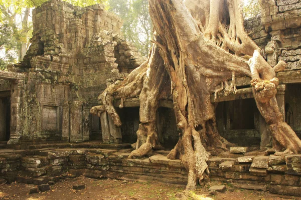 Preah khan chrám, oblast angkor, siem reap, Kambodža — Stock fotografie