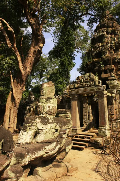 Giriş Han tapınak preah, angkor alan, siem reap, Kamboçya — Stok fotoğraf