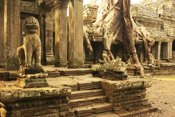 Preah Khan temple, Angkor környéke, Siem Reap, Kambodzsa — Stock Fotó