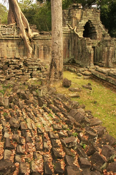 Preah Khan temple, Angkor környéke, Siem Reap, Kambodzsa — Stock Fotó