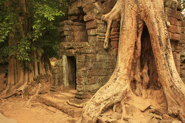 Preah khan tempel, angkor-området, siem reap, Kambodja — Stockfoto
