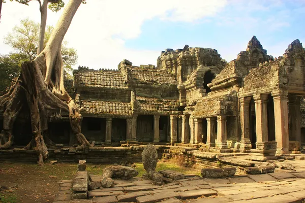 Preah Khan temple, Angkor környéke, Siem Reap, Kambodzsa — Stock Fotó