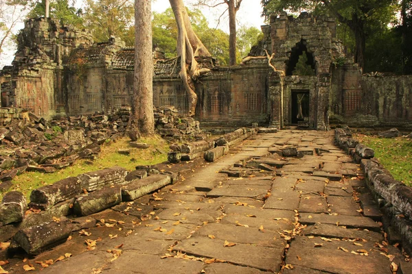 Templo de Preah Khan, área de Angkor, Siem Reap, Camboya —  Fotos de Stock