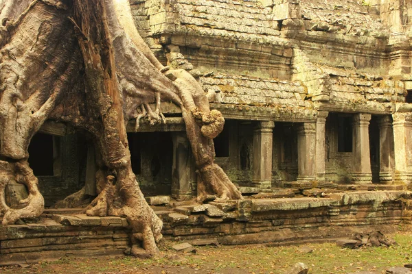 Preah Khan temple, Angkor area, Siem Reap, Cambodia — Stock Photo, Image