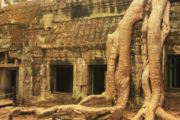 Ta prohm-templet, angkor-området, siem reap, Kambodja — Stockfoto