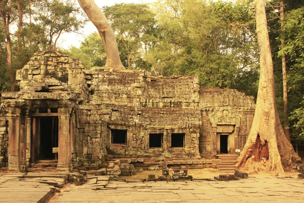 Ta prohm-templet, angkor-området, siem reap, Kambodja — Stockfoto