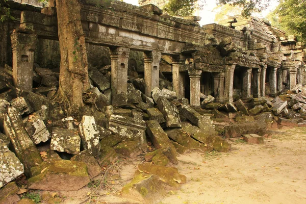 Ta prohm chrám, oblast angkor, siem reap, Kambodža — Stock fotografie