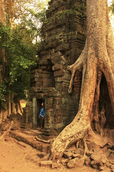 TA Prohm храм Ангкор області, Сієм Ріп, Камбоджа — стокове фото