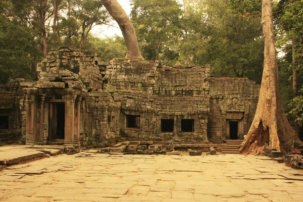TA prohm ναός, περιοχή angkor, siem συγκεντρώνει, η Καμπότζη — Φωτογραφία Αρχείου