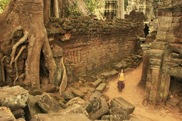 Ta Prohm templom, Angkor környéke, Siem Reap, Kambodzsa — Stock Fotó