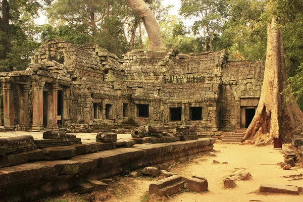 Templul Ta Prohm, zona Angkor, Siem Reap, Cambodgia — Fotografie, imagine de stoc