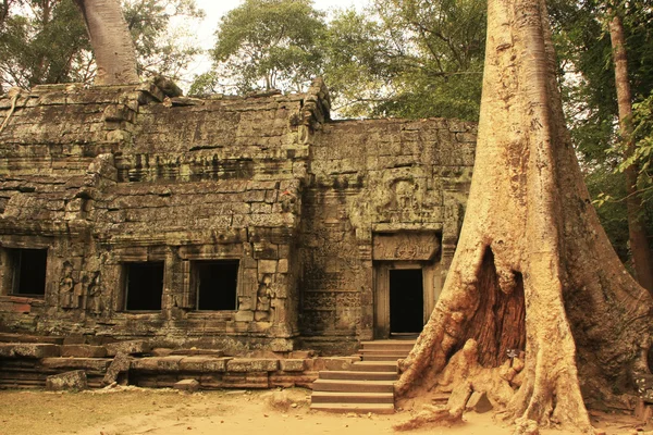 Ta prohm chrám, oblast angkor, siem reap, Kambodža — Stock fotografie