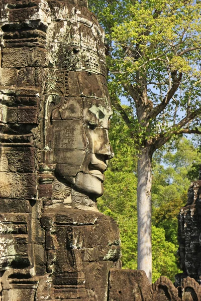 Volto di pietra del tempio di Bayon, zona di Angkor, Siem Reap, Cambogia — Foto Stock