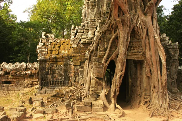 Ta som chrám, oblast angkor, siem reap, Kambodža — Stock fotografie