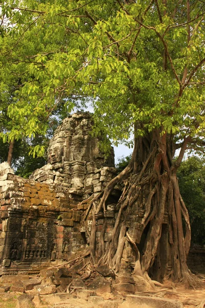 Ta Som templom, Angkor környéke, Siem Reap, Kambodzsa — Stock Fotó