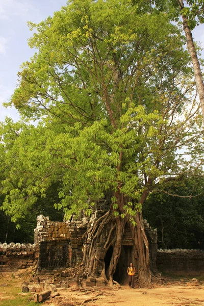 Ta som chrám, oblast angkor, siem reap, Kambodža — Stock fotografie