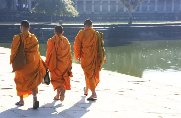 Mniši do chrámu angkor wat, Siĕmréab, Kambodža — Stock fotografie