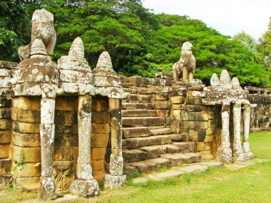 Filler, angkor Teras thom, siem reap, Kamboçya