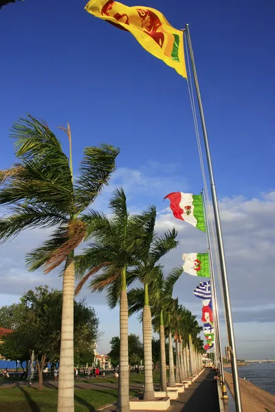 Bank av mekong river, phnom penh, Kambodja — Stockfoto