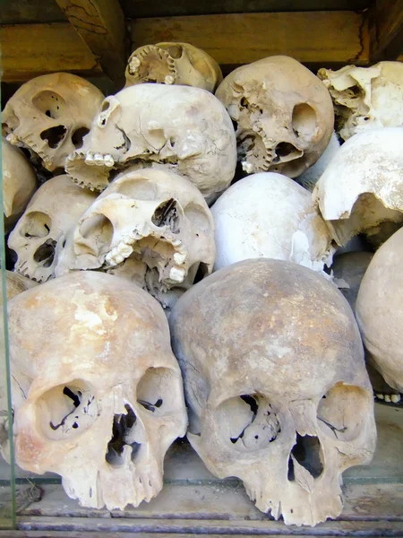 Teschi delle vittime, Killing Fields, Phnom Penh, Cambogia — Foto Stock