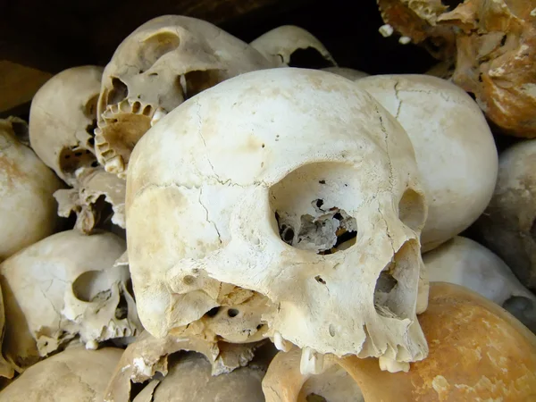 Teschi delle vittime, Killing Fields, Phnom Penh, Cambogia — Foto Stock