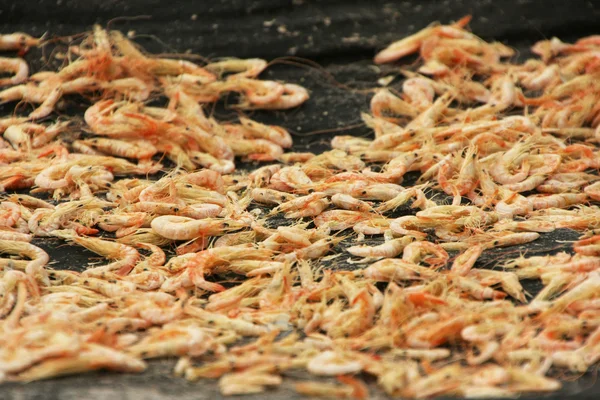 Mesa con camarones secos en la aldea local, Parque Nacional Ream, Ca —  Fotos de Stock