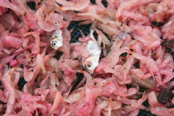 Mesa con camarones secos en la aldea local, Parque Nacional Ream, Ca — Foto de Stock