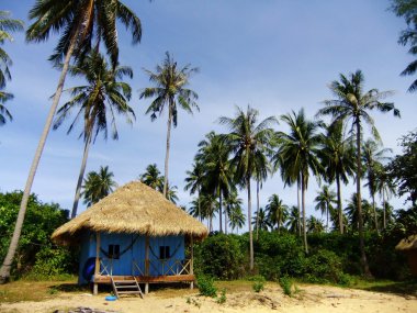 tropik bir adada ahşap bungalov