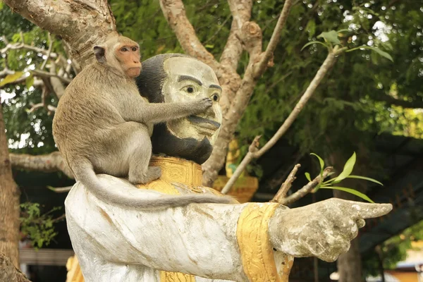 Lange-tailed makaak spelen op phnom sampeau, battambang, cambod — Stockfoto