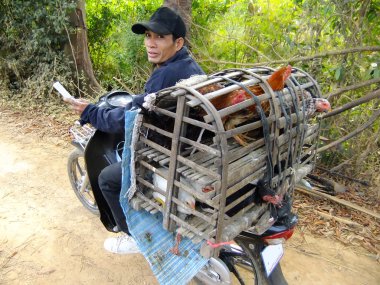 Yerel adam motobike,: battambang, cambodia