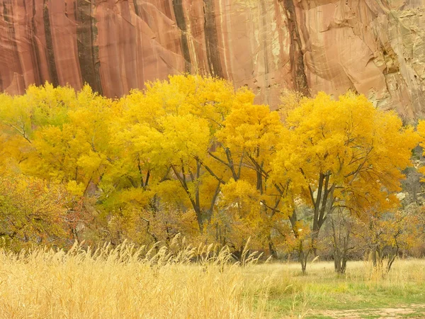 Capitol Reef National Park in a fall, Utah, USA — Stock Photo, Image