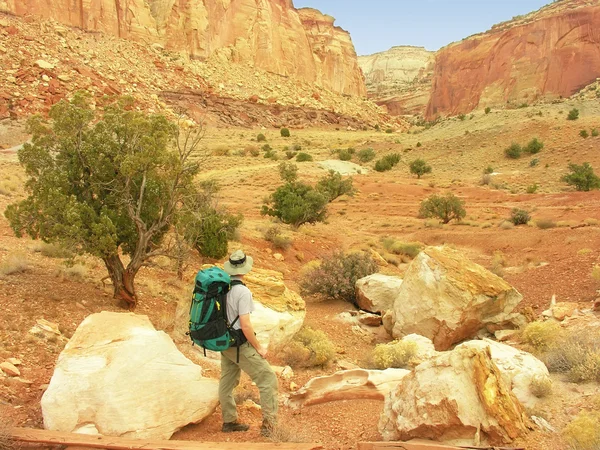 Wandelen in capitol reef national park, utah, Verenigde Staten — Stockfoto